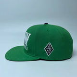 FTW SOLID snap back