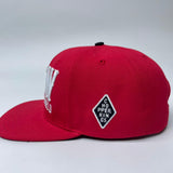 FTW SOLID snap back